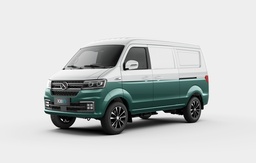 SWM X30L - 2